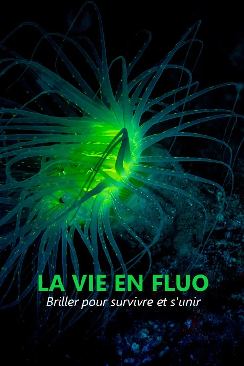 La vie en fluo постер