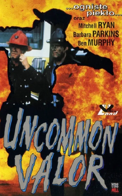 Uncommon Valor постер