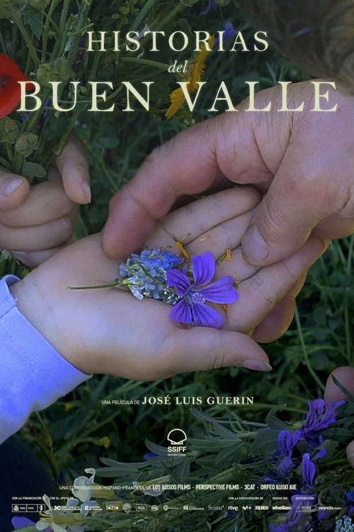 Historias del buen valle постер