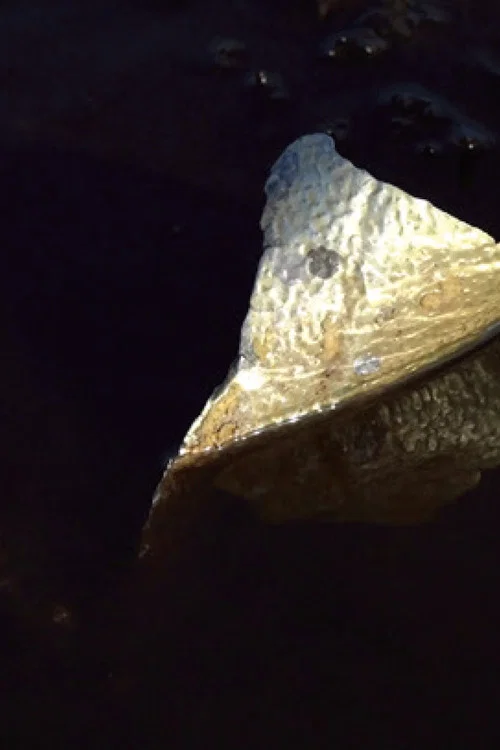 Gold leaf постер