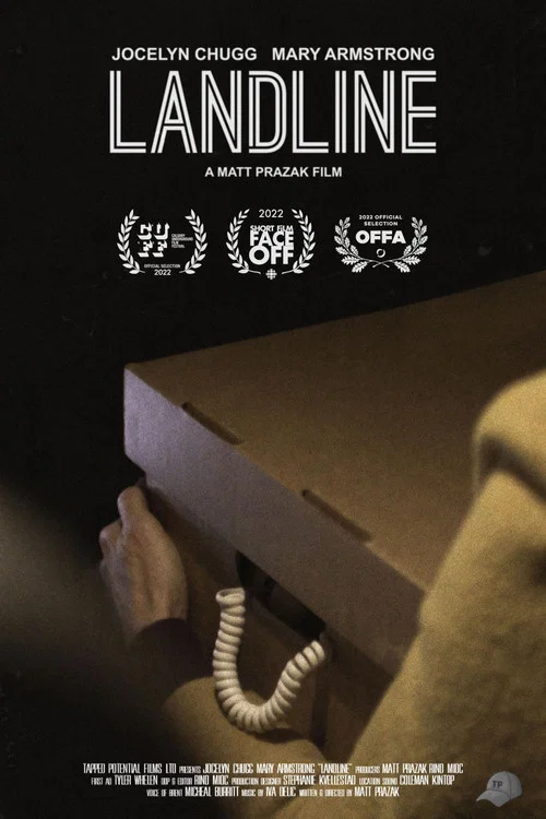 Landline постер