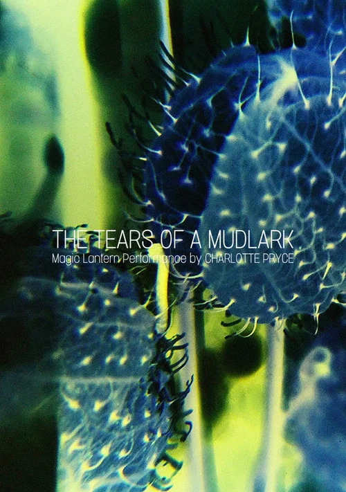 The Tears of a Mudlark постер