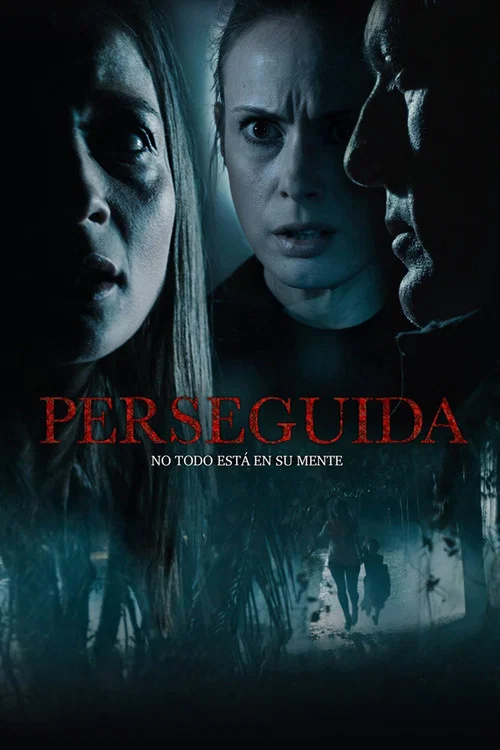 Perseguida постер