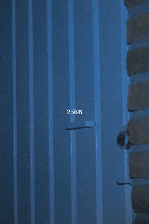 256B постер