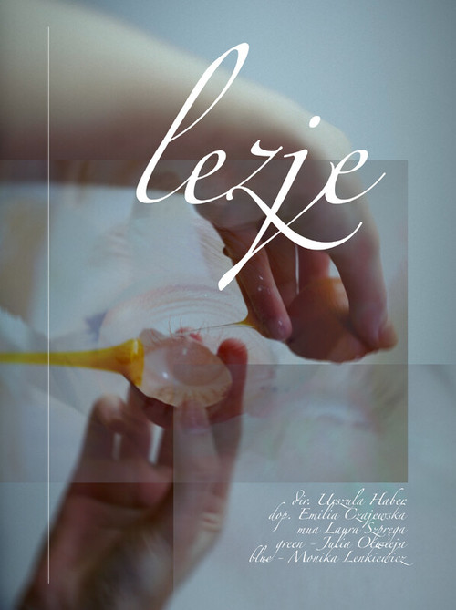 Lezje постер