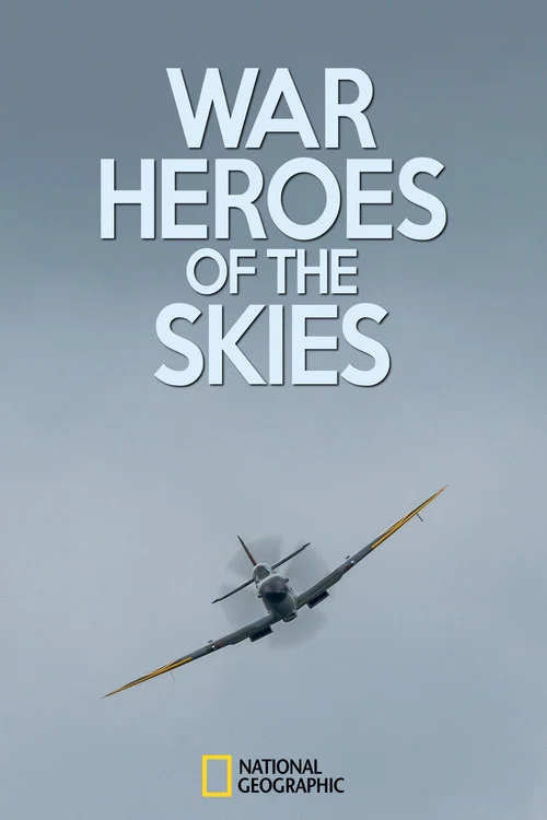 War Heroes of the Skies постер