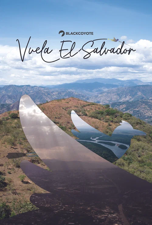Vuela El Salvador постер