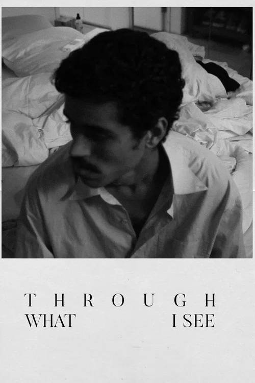 Through What I See постер