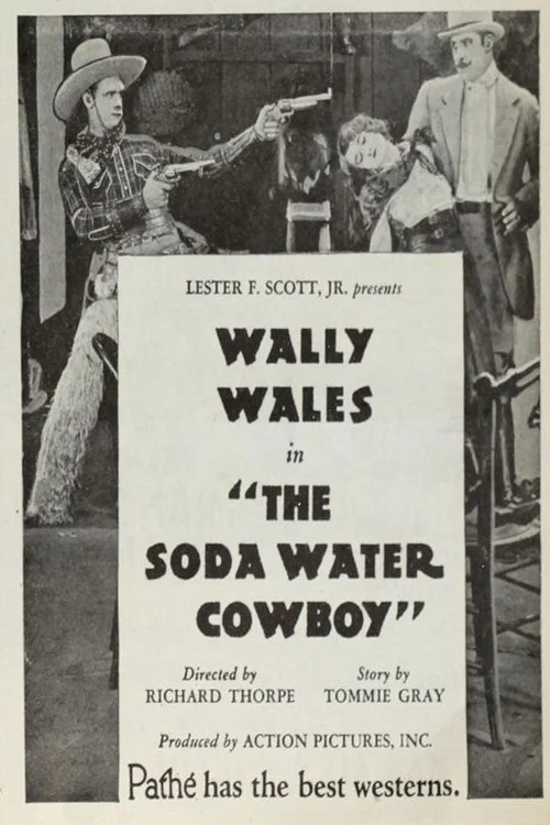 The Soda Water Cowboy постер