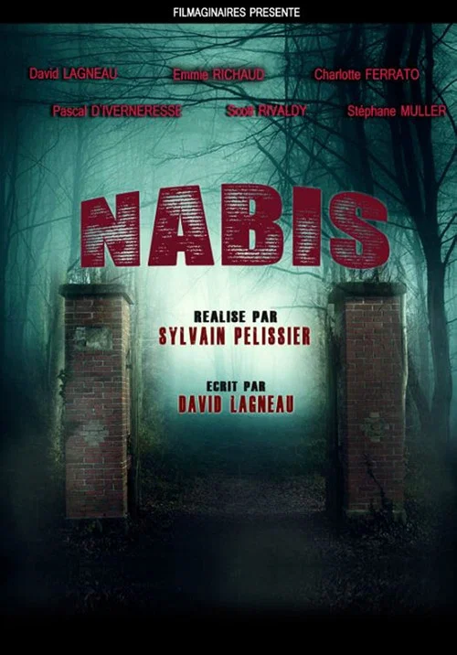 Nabis постер
