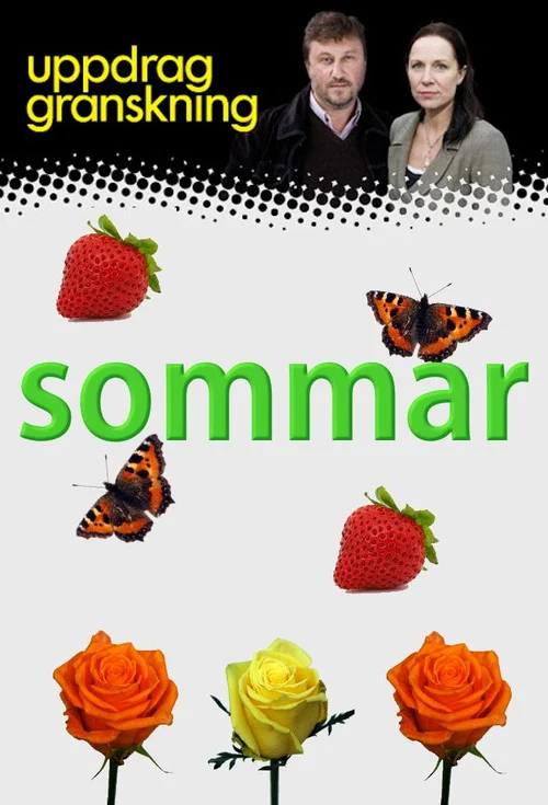 Uppdrag granskning sommar постер