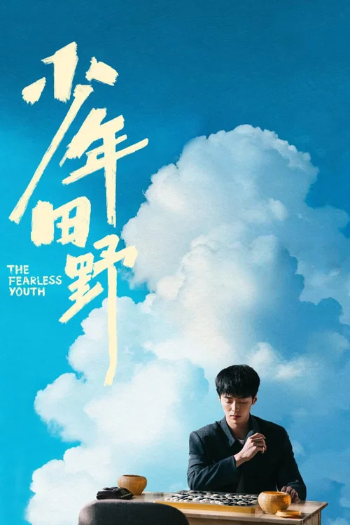 少年田野 постер
