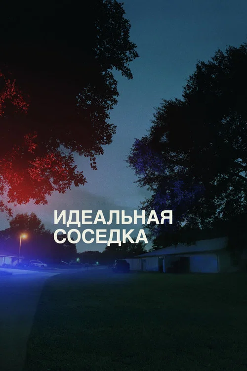 Идеальная соседка постер
