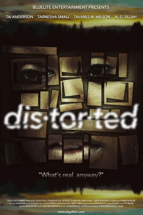 Distorted постер