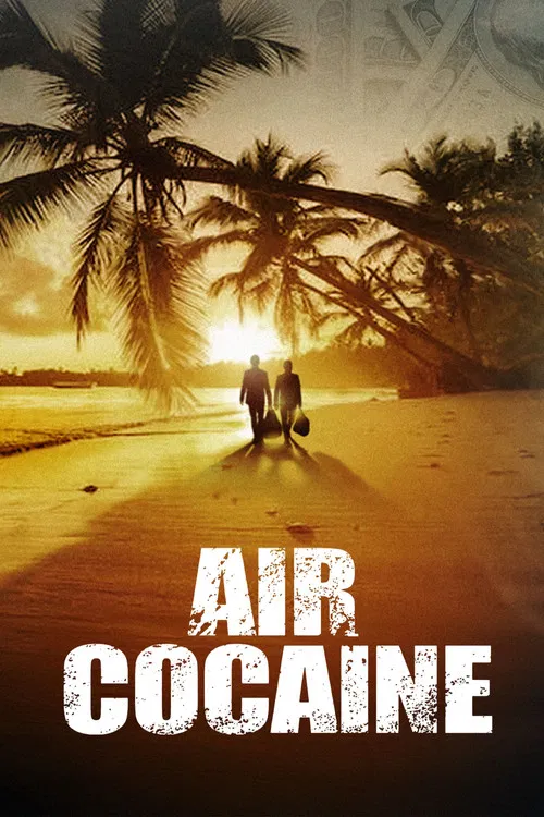 Air Cocaïne постер