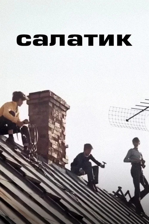 Салатик постер
