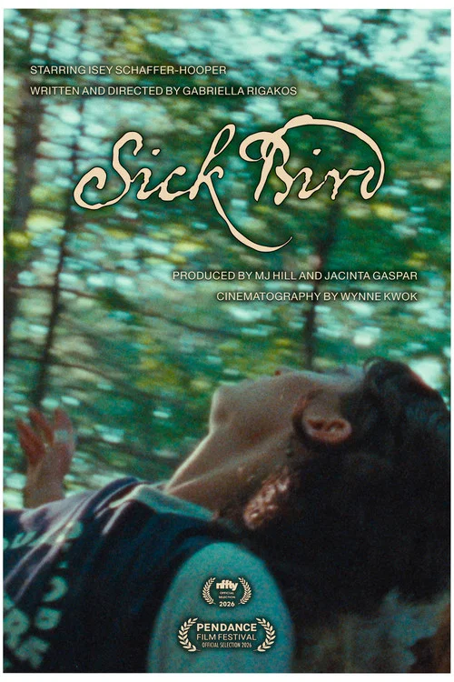 Sick Bird постер