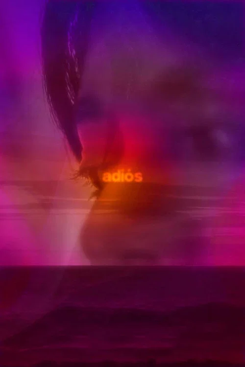 adiós постер