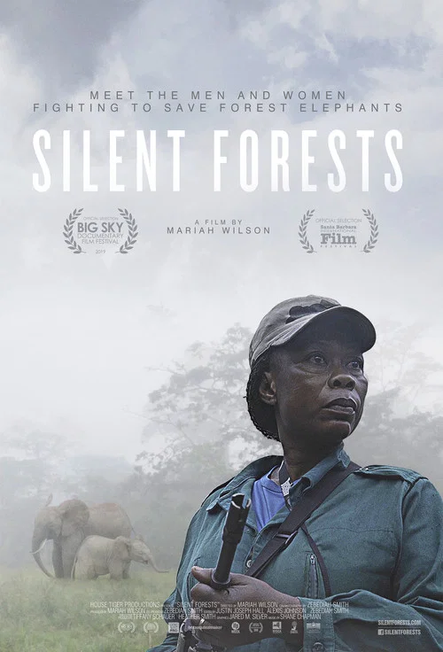 Silent Forests постер