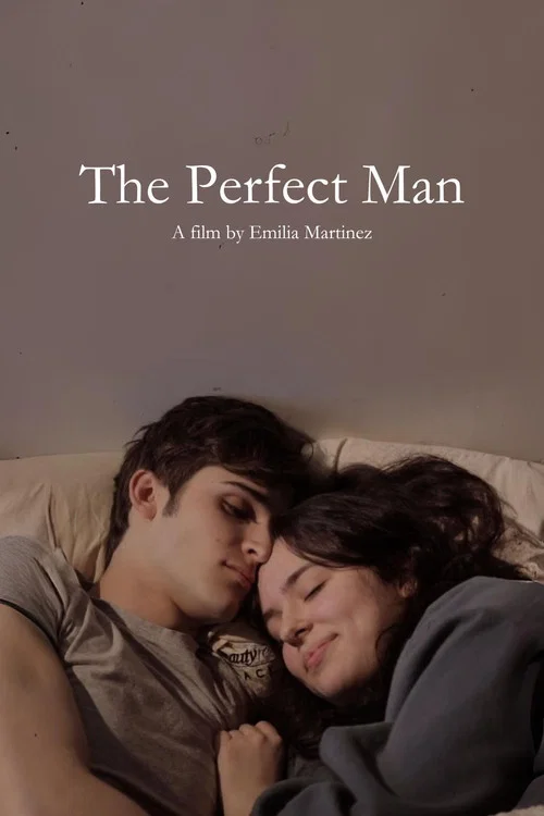 The Perfect Man постер