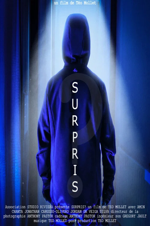Surpris? постер