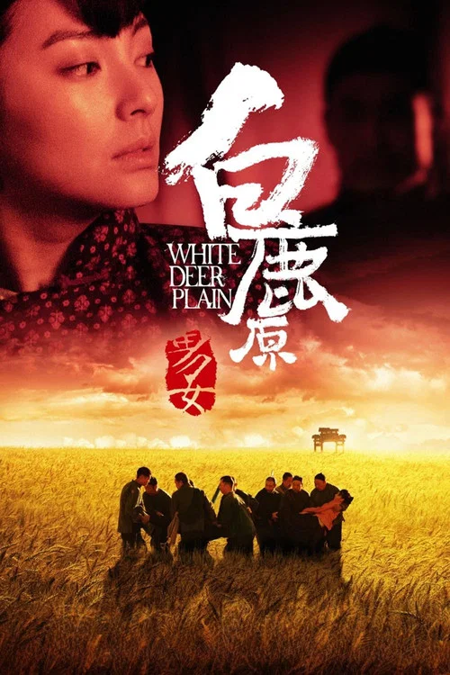 白鹿原 постер