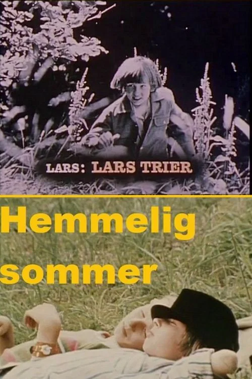 Hemmelig sommer постер