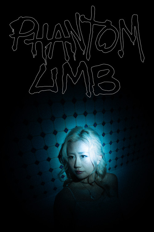 Phantom Limb постер