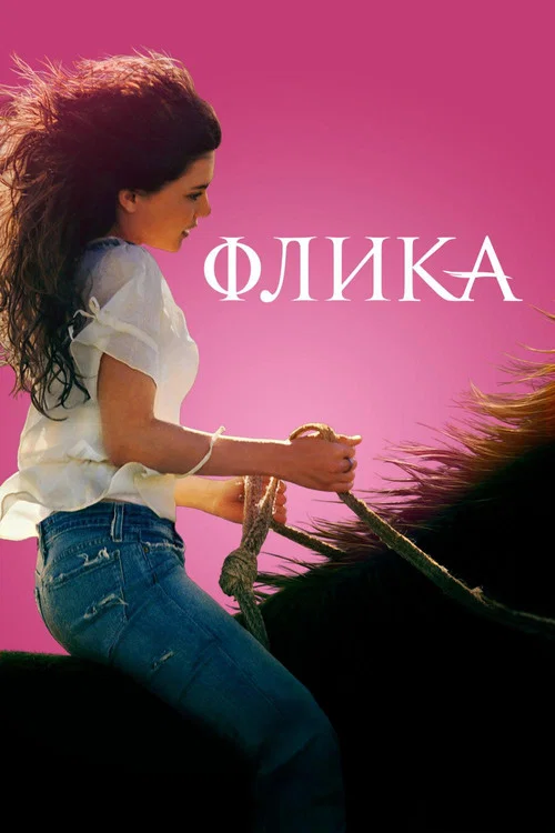 Флика постер