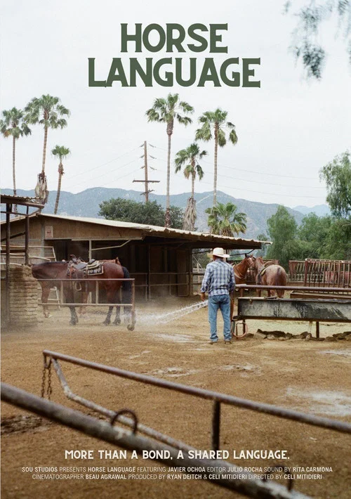 Horse Language постер