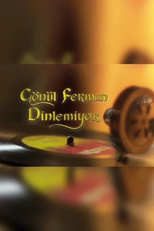 Gönül Ferman Dinlemiyor постер