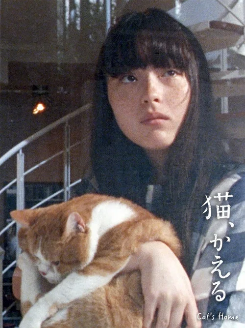 猫、かえる постер