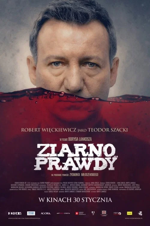 Зерно правды постер