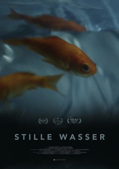 Stille Wasser постер