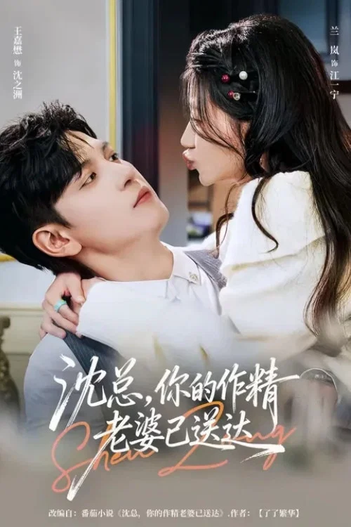沈总，你的作精老婆已送达 постер