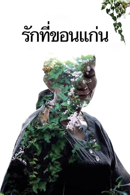 Кладбище блеска постер