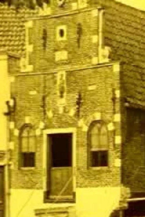 Franeker постер