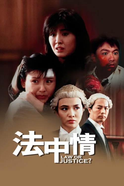 法中情 постер