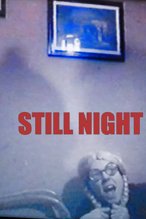 Still Night постер