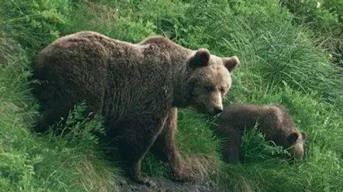 Эпизод 2