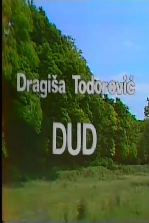 Dud постер