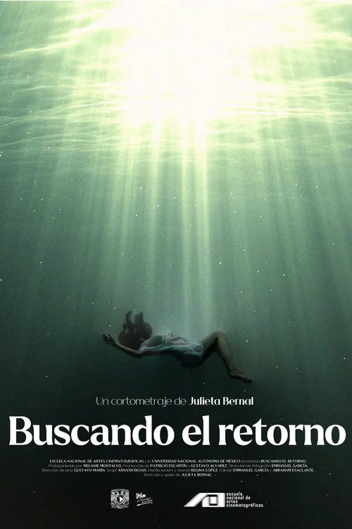 Buscando el retorno постер