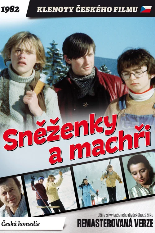 Sněženky a machři постер