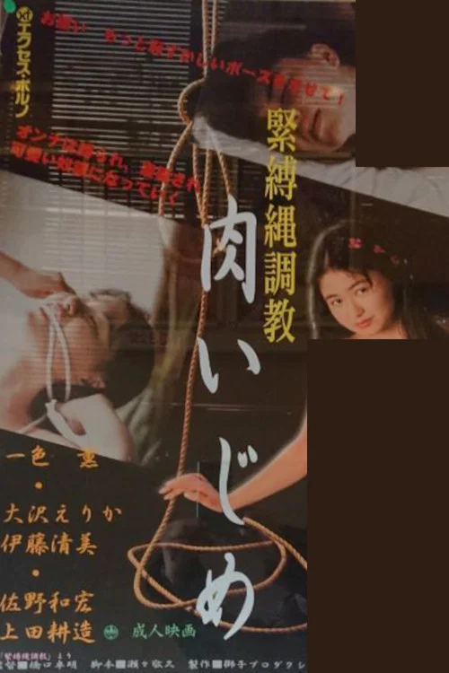 緊縛縄調教 постер