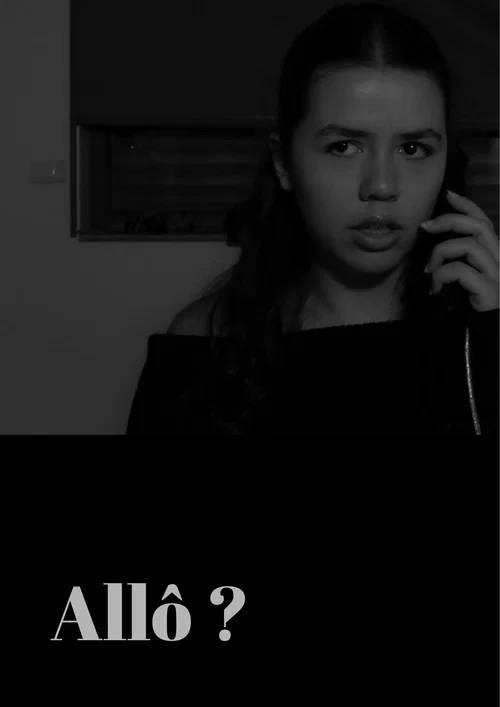 Allô ? постер