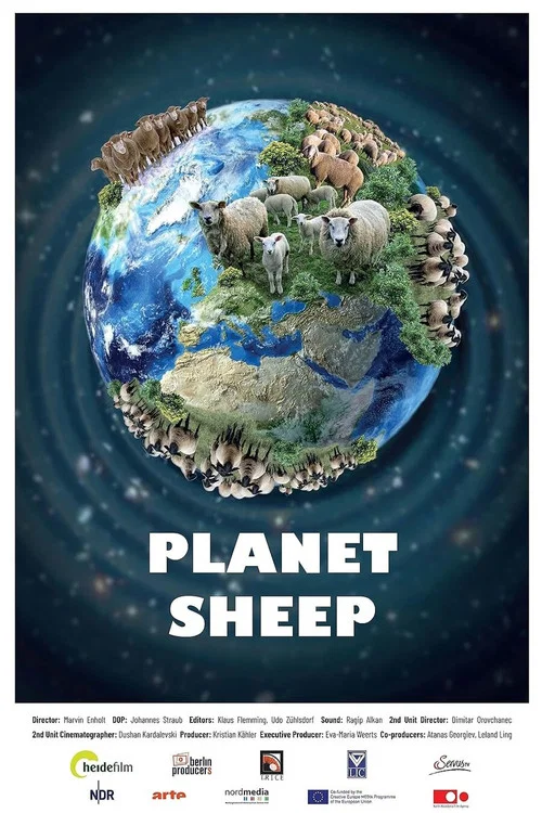 Planet Sheep постер