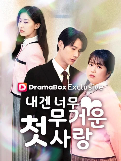 내겐 너무 무거운 첫사랑 постер