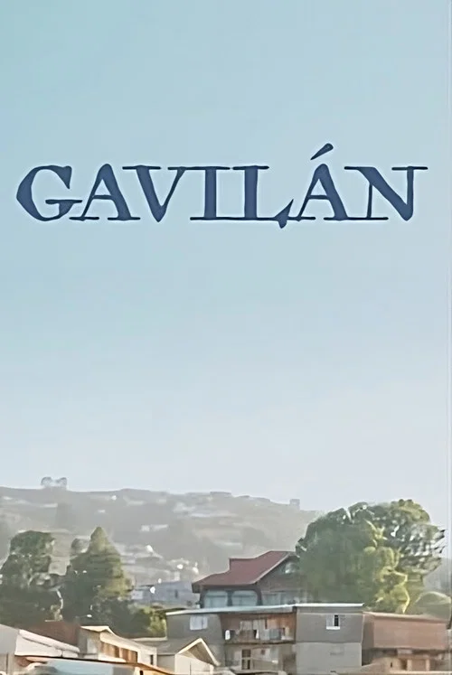 Gavilàn постер