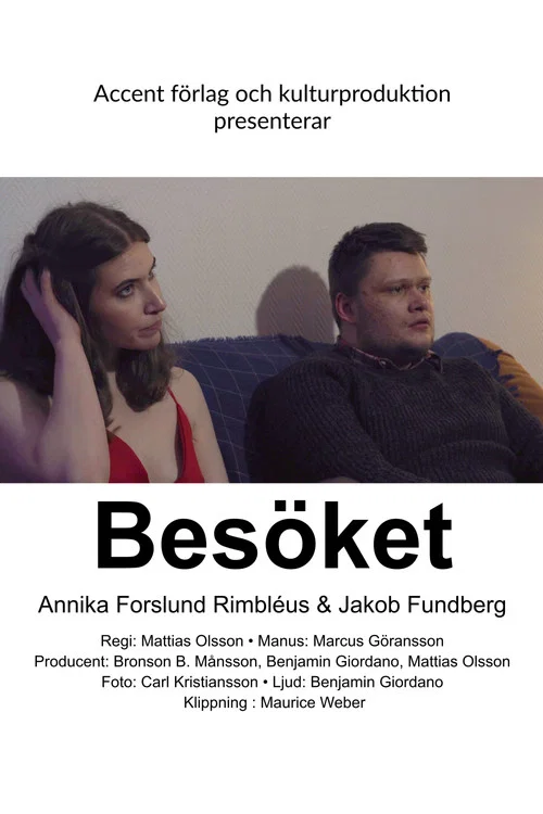 Besöket постер