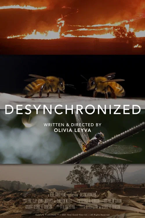 Desynchronized постер